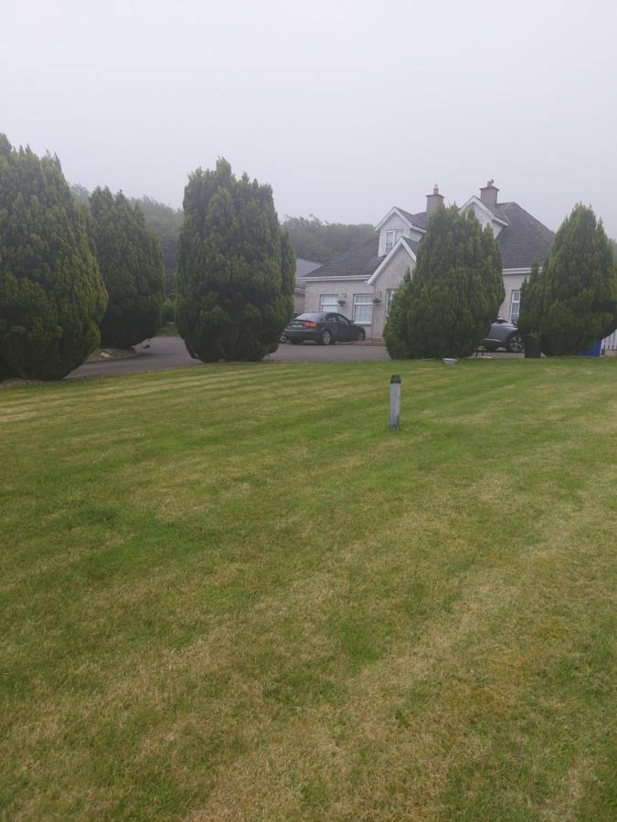 Amberley Guest House Gorey Bagian luar foto