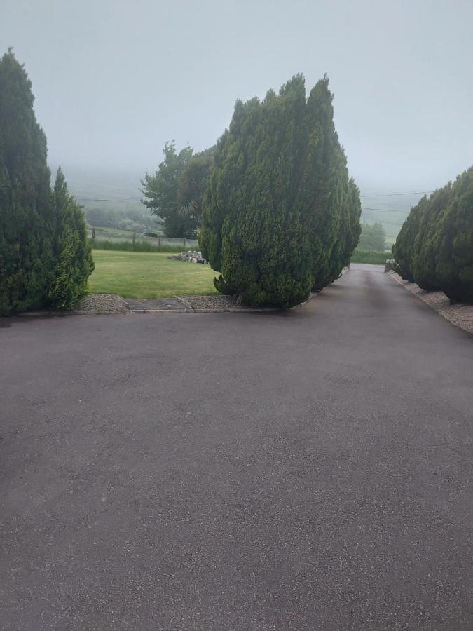 Amberley Guest House Gorey Bagian luar foto